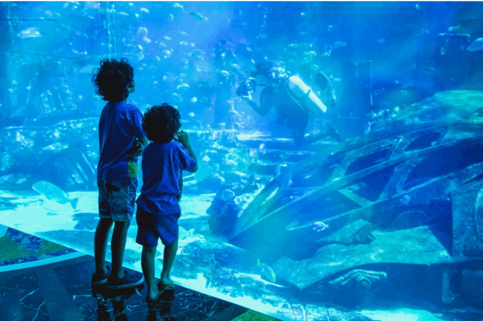 dubai with children enjoying aquarium
